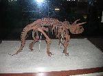 039_2009-0119-1120-50.jpg